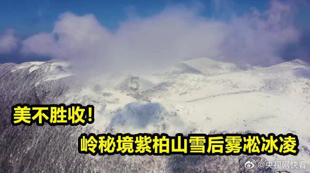 分手很久不联系的前男友突然联系你是什么意思呢？游戏画面