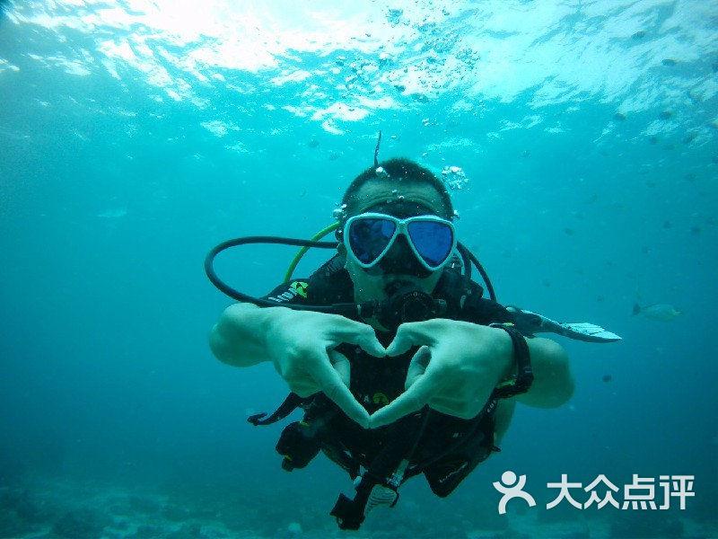 逃离橙园